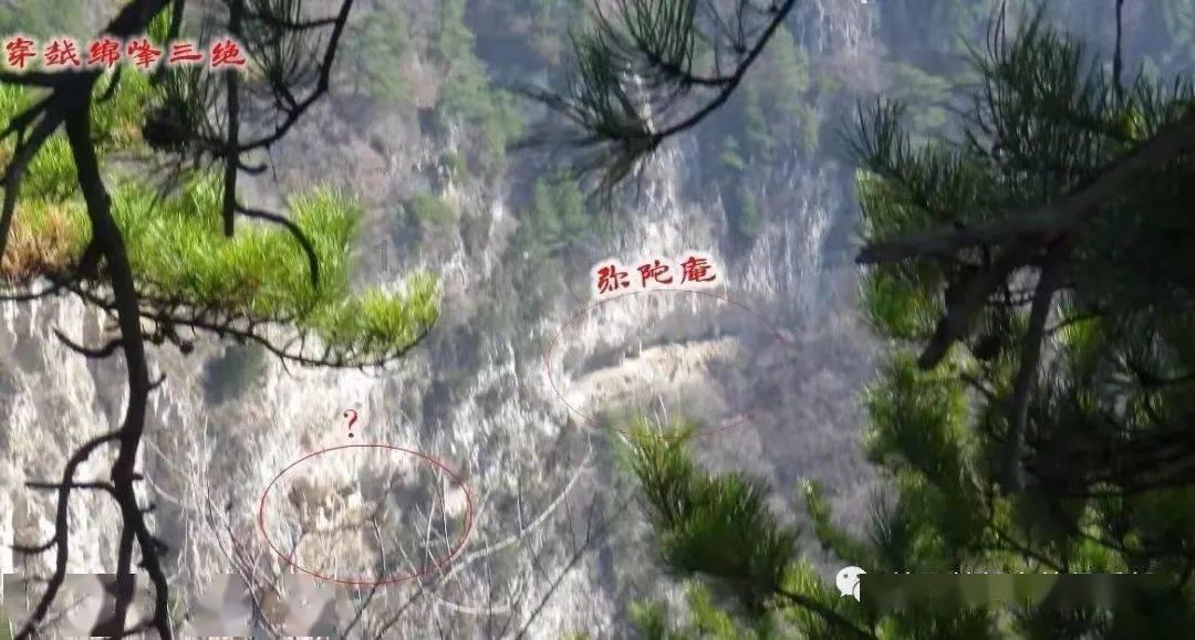 青岛：探索老旧小区“多维改造”模式  推动城市品质实现新提升