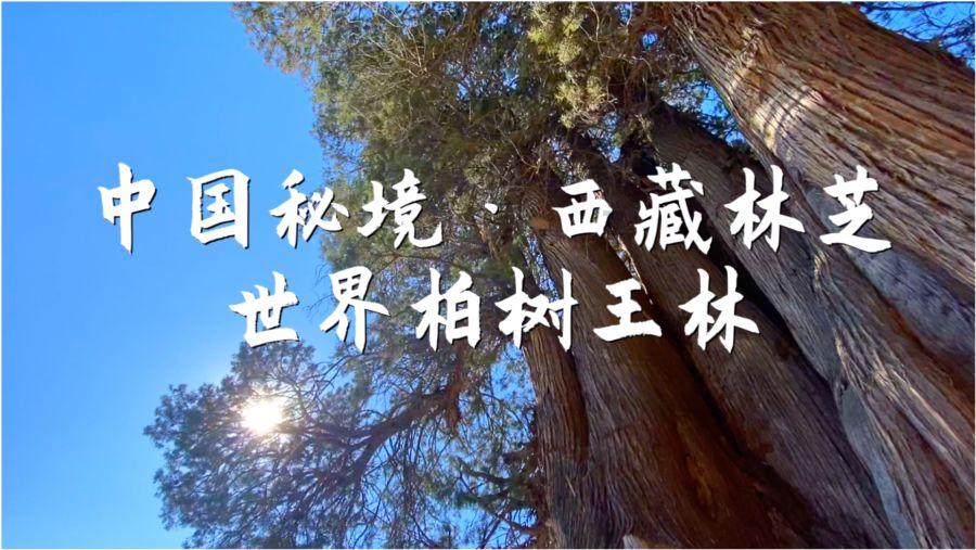 萌王EX