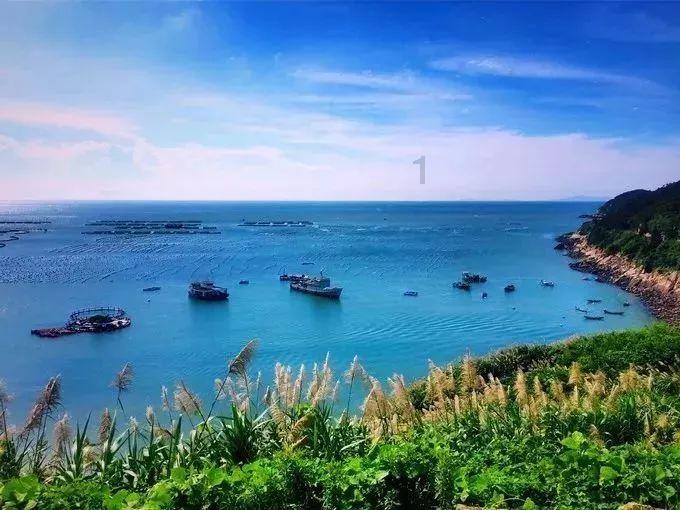 探索女生说我回复她信息太敷衍了,什么意思